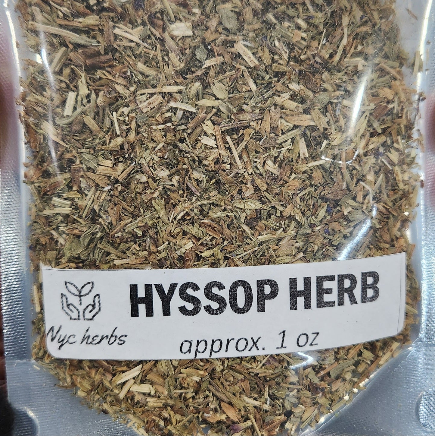 Hisopo