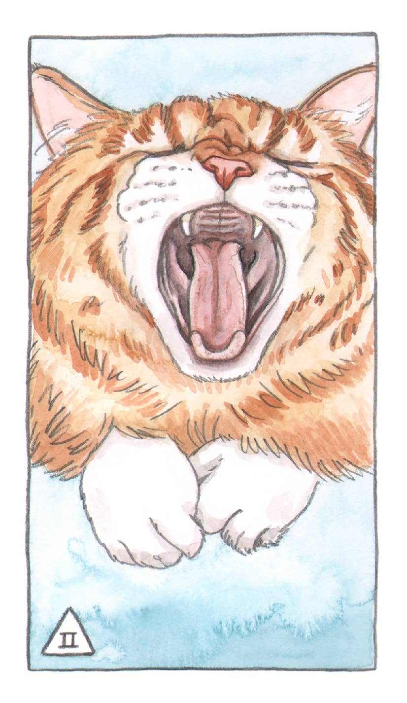 Mazo de Tarot de Gatos