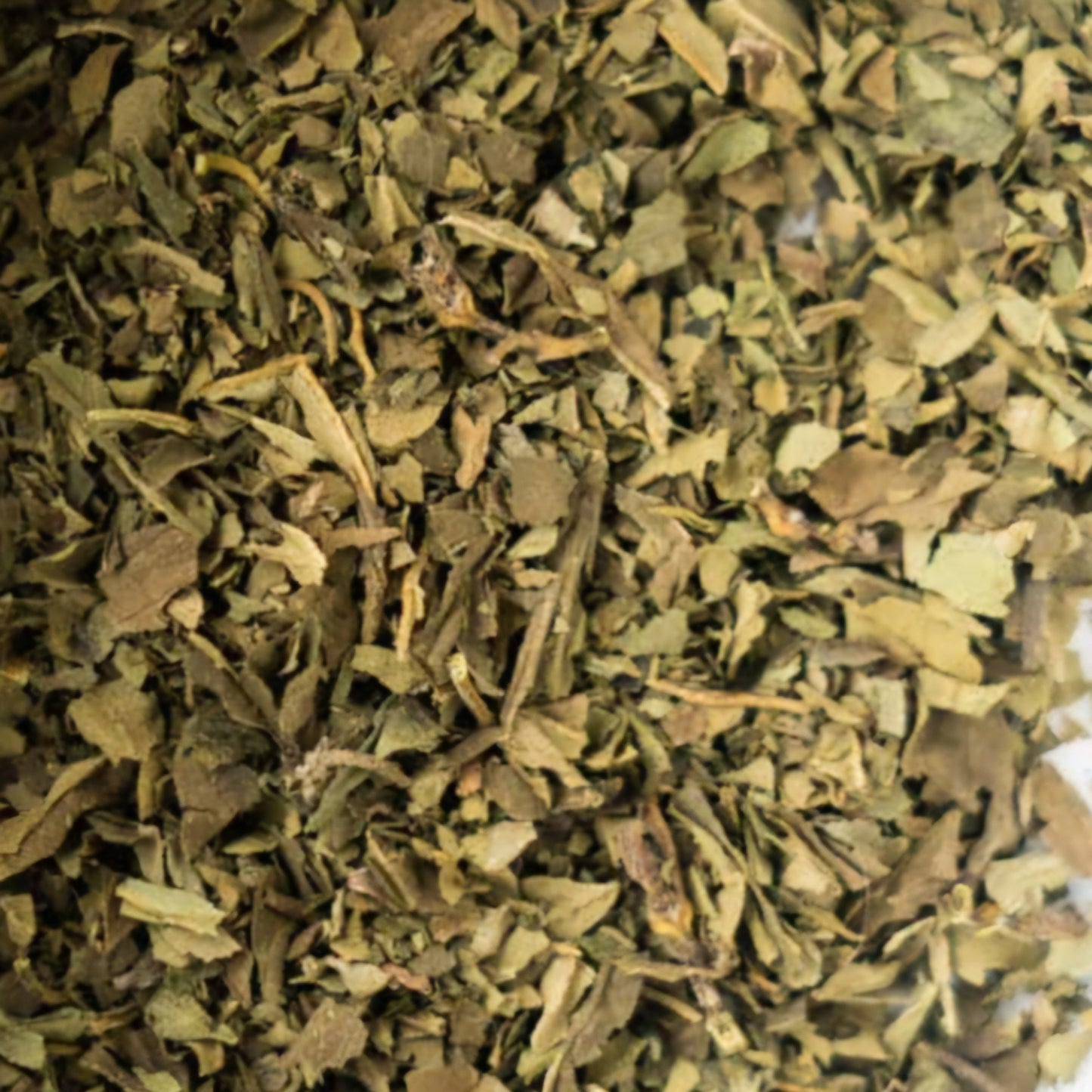 Hoja de Albahaca | Confort Digestivo y Energía Revitalizante