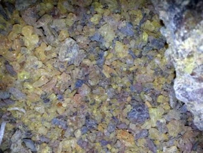 Resina de copal negro maya 1 lb