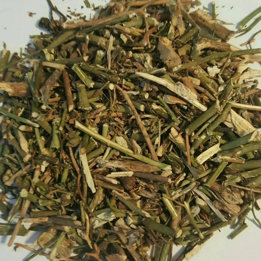 Ruda (Ruda) | Protección, soporte digestivo y circulatorio