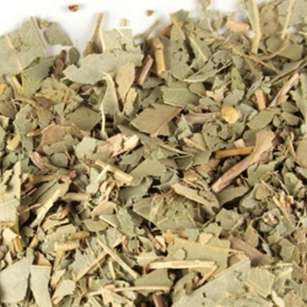 Hoja de eucalipto