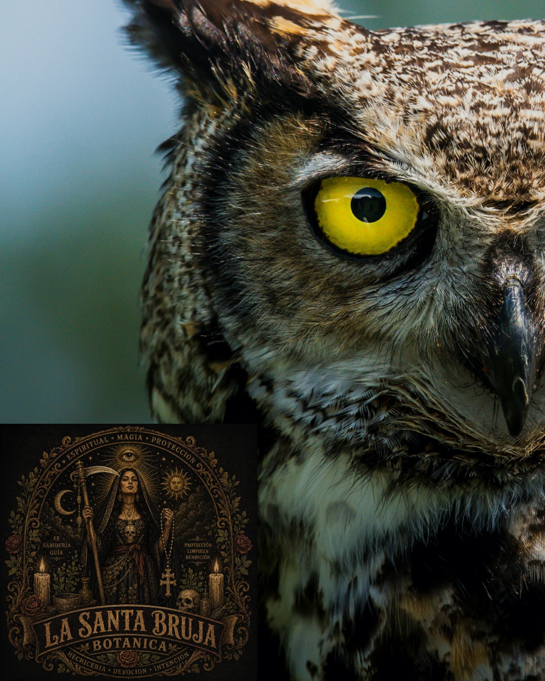 El Búho y La Santa Muerte: Wisdom, Protection, and the Messenger Between Worlds.