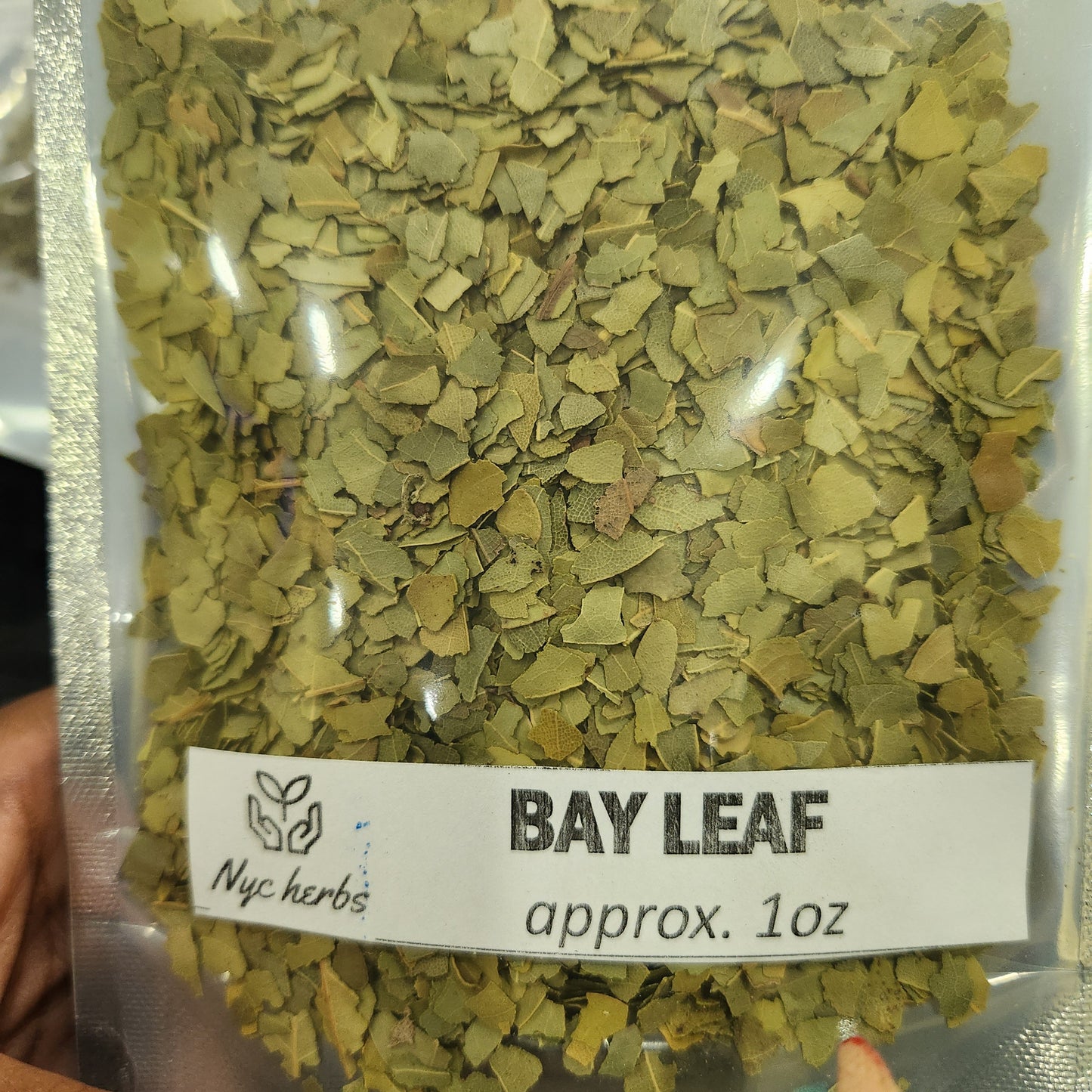 Hoja de Laurel | Apoyo respiratorio y digestivo