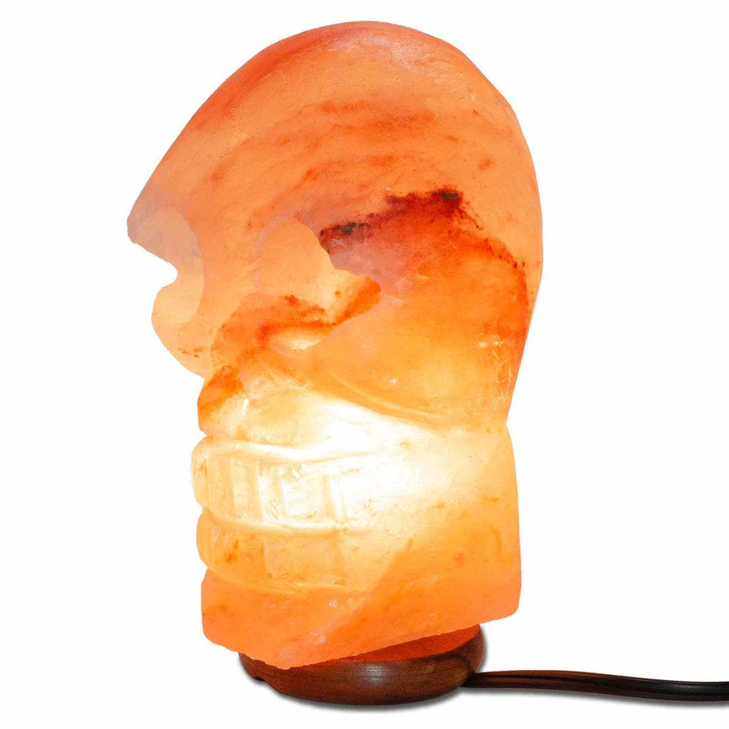 Lámpara de sal con forma de calavera - 24,13 cm promedio - Cable, Bombilla, Atenuador