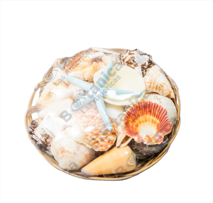 Carga de Olokun Mediana / Medium Olokun Ritual Charge - Sacred Offering