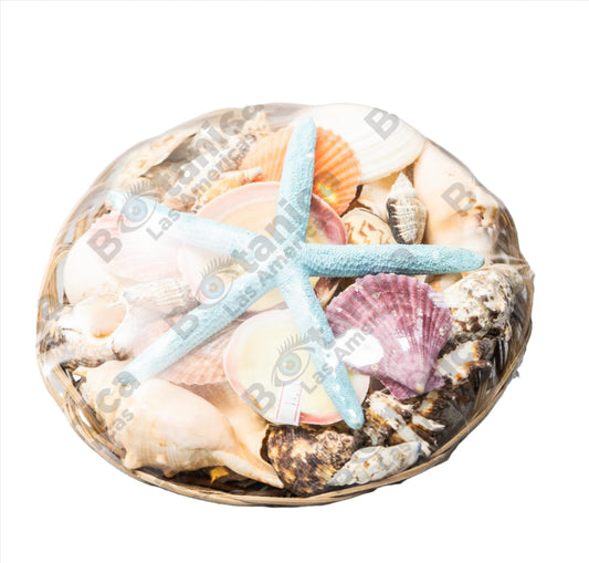 Carga de Olokun Grande / Large Olokun Ritual Charge - Ocean Depths & Hidden Wealth