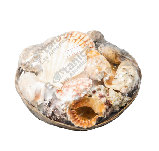 Carga de Olokun Pequeña / Small Olokun Ritual Charge - Ocean Depths & Hidden Wealth