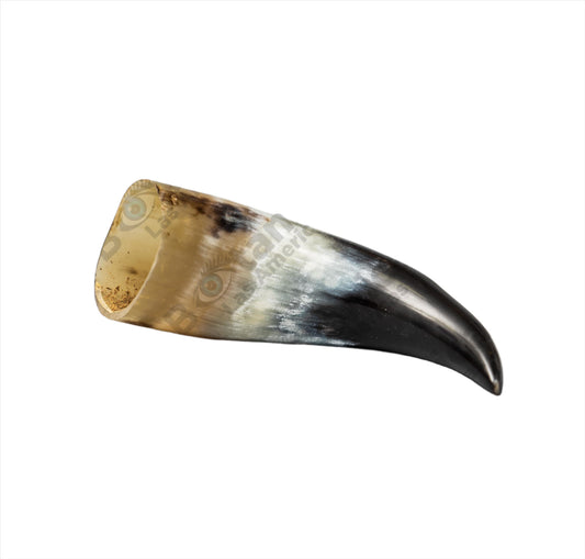 Tarro / Cuerno de Buey 6"-8" / Ox Horn - Sacred Ritual Tool for Santería