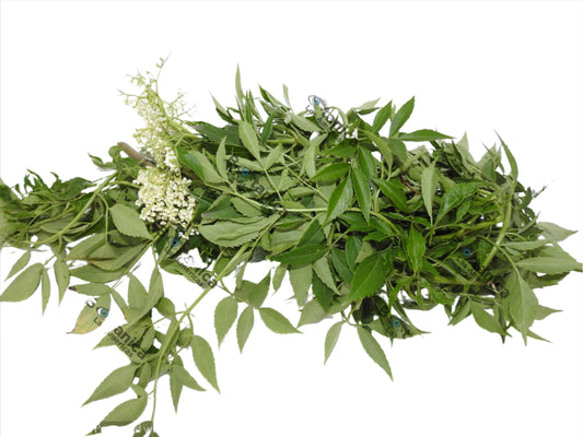 Hierba Saúco Blanco / Flor de Saúco - Hierba para la Purificación y Limpieza Espiritual