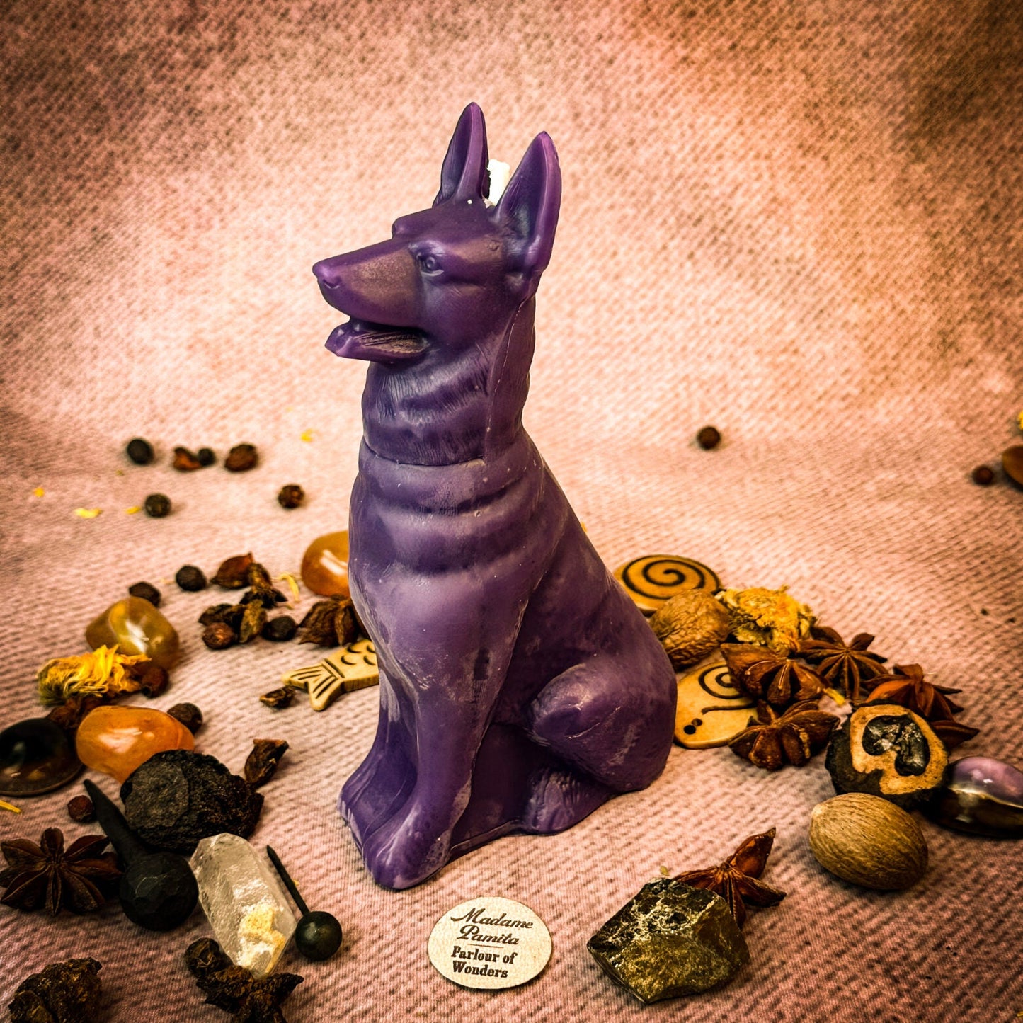 Kit de hechizos de velas de perro fiel - Magia de lealtad y fidelidad