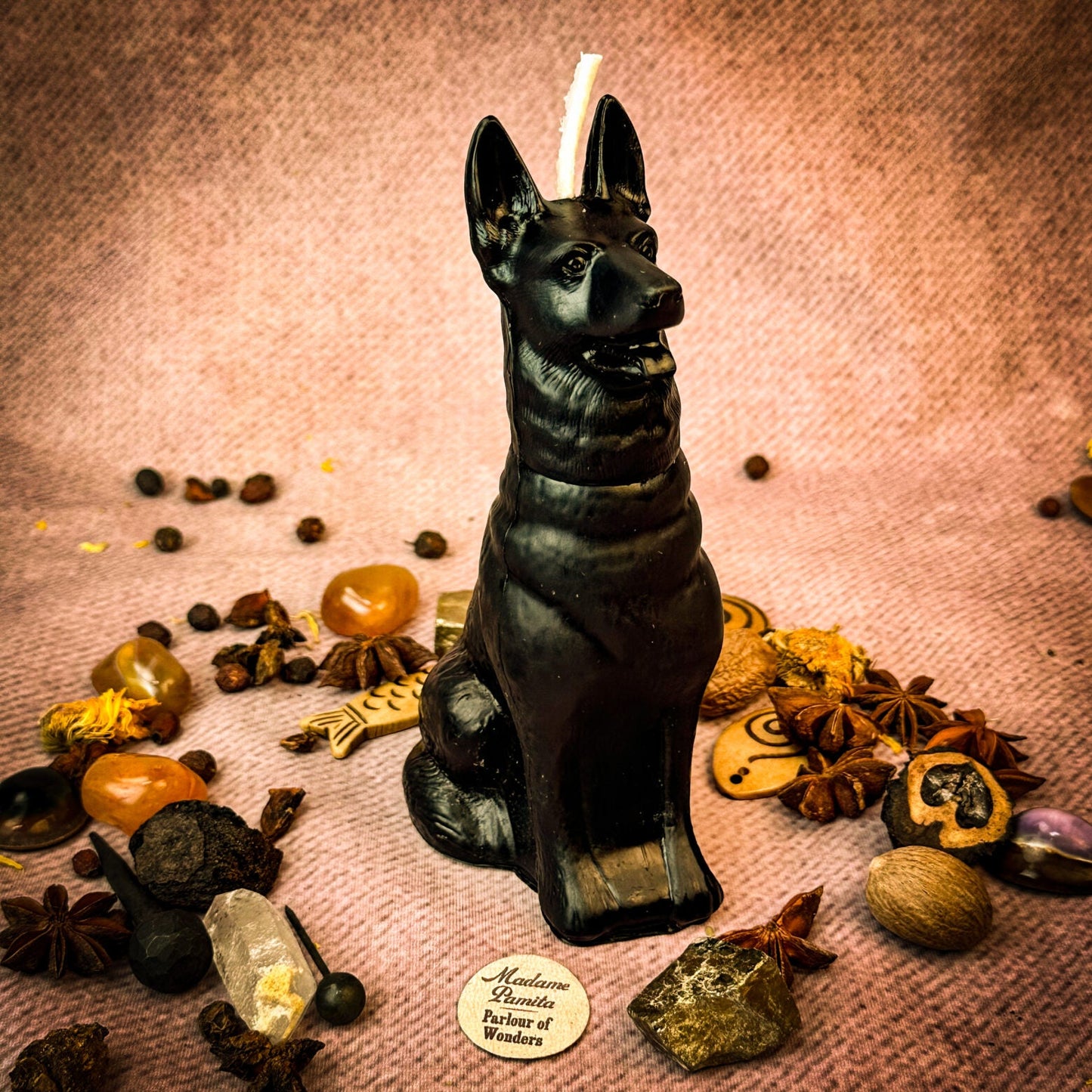 Kit de hechizos de velas de perro fiel - Magia de lealtad y fidelidad