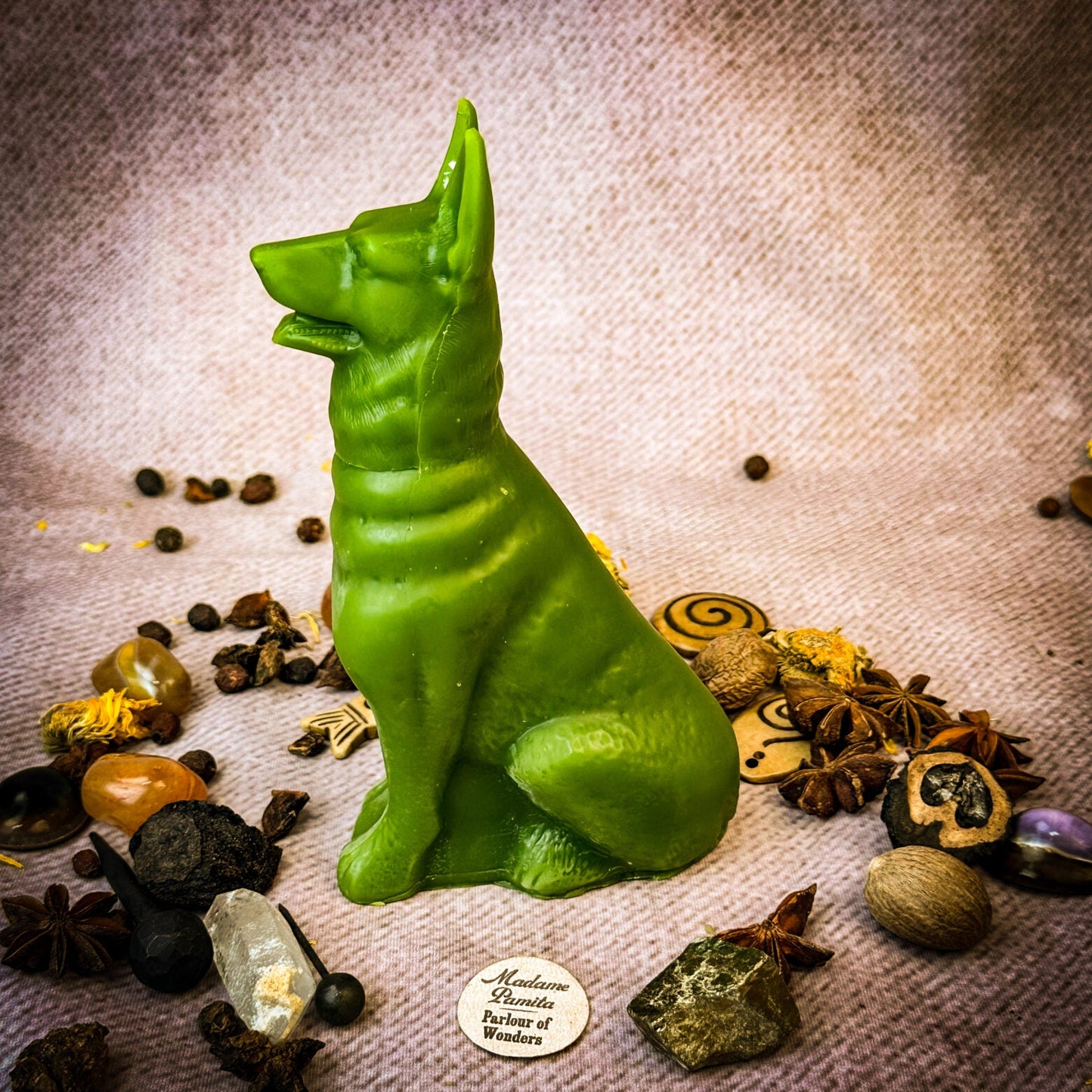 Kit de hechizos de velas de perro fiel - Magia de lealtad y fidelidad
