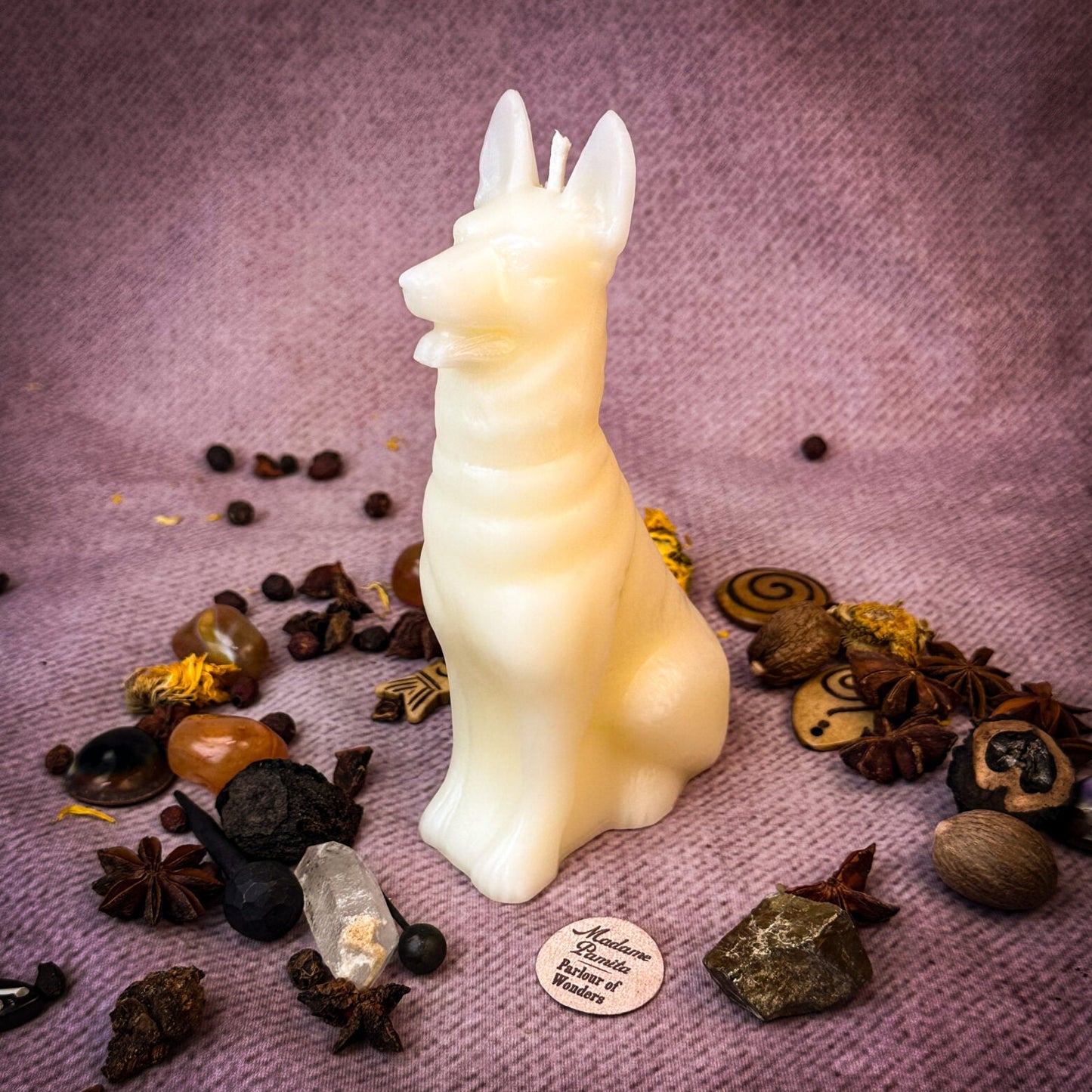 Kit de hechizos de velas de perro fiel - Magia de lealtad y fidelidad