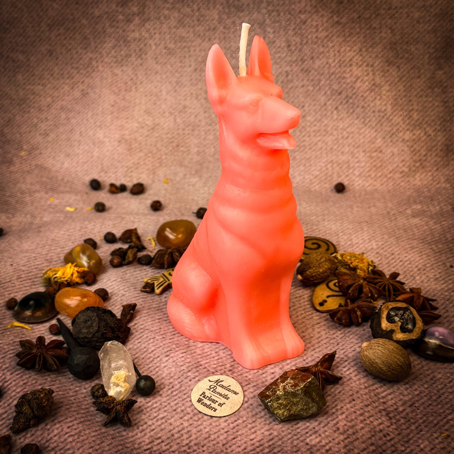 Faithful Dog Candle Spell Kit - Loyalty & Fidelity Magic