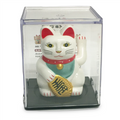 Gato de la Suerte adhesivo en caja expositora