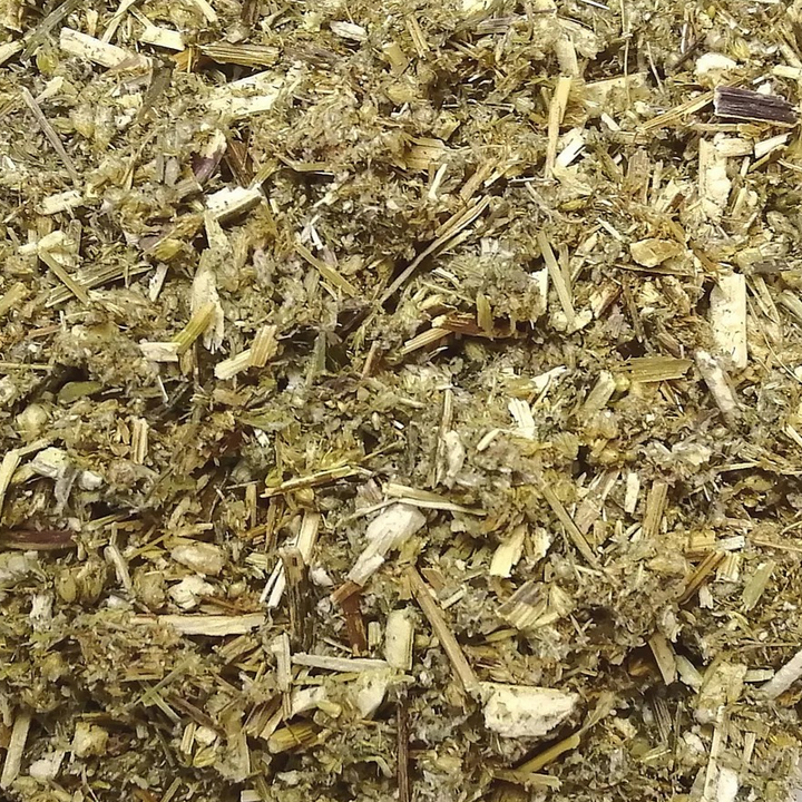 Mugwort Herb