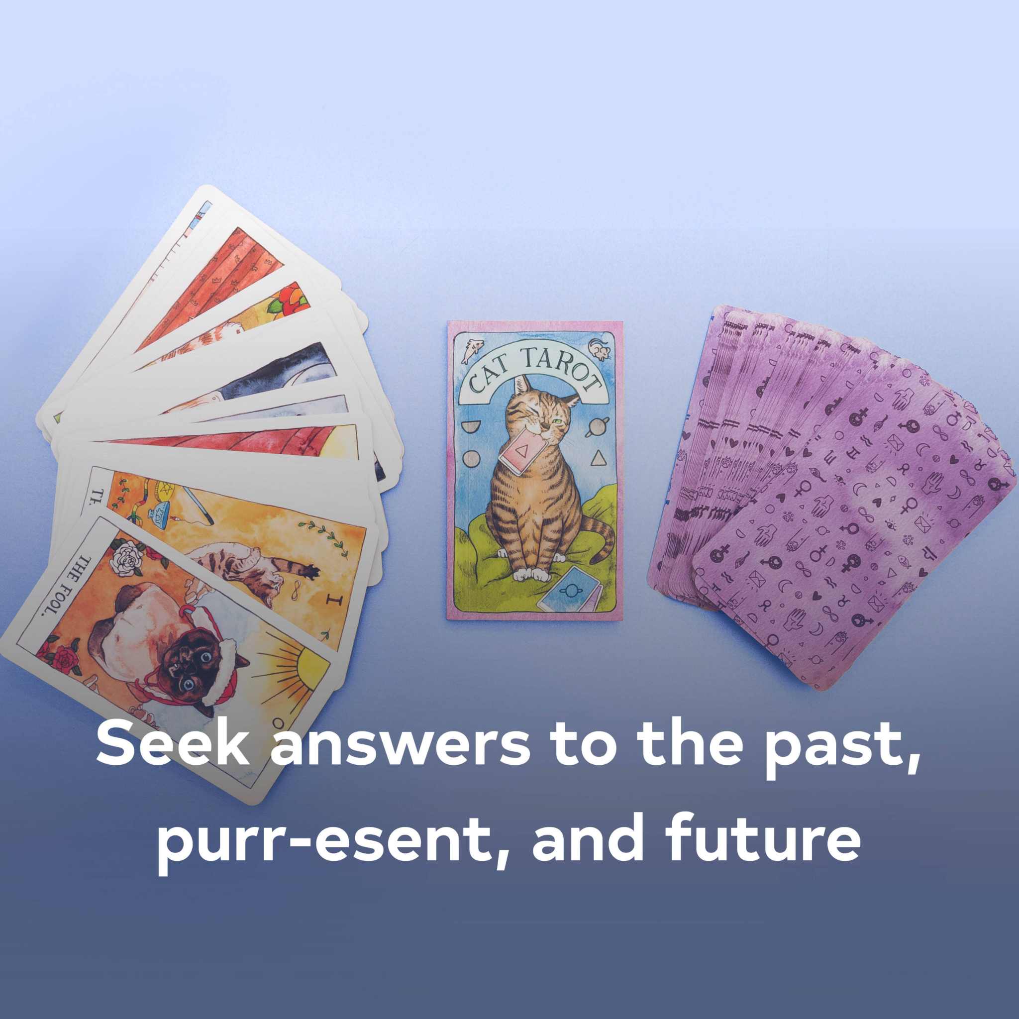 Cat Tarot Deck