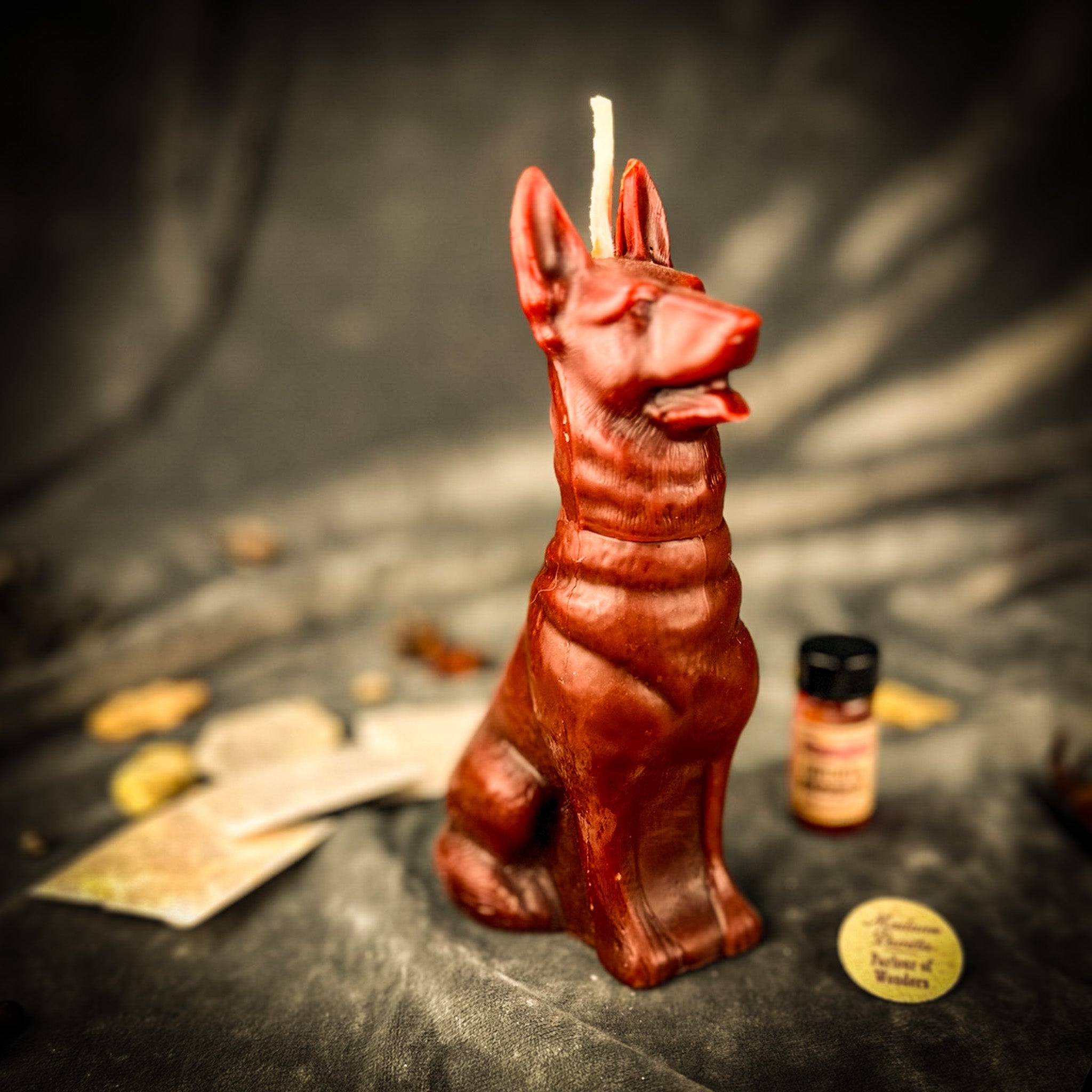 Kit de hechizos de velas de perro fiel - Magia de lealtad y fidelidad
