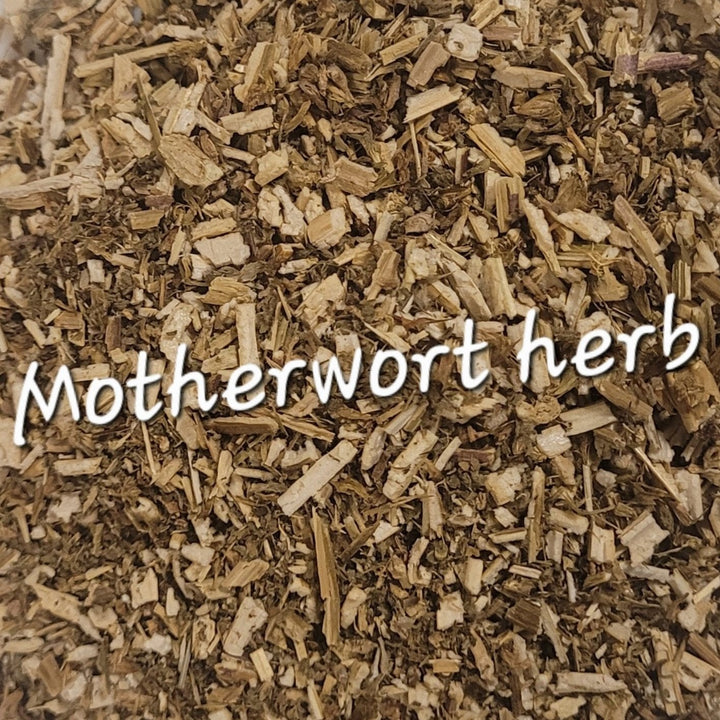 Motherwort (Leonurus cardiaca)