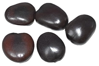 SEMILLA CORAZÓN DE CHANGÓ