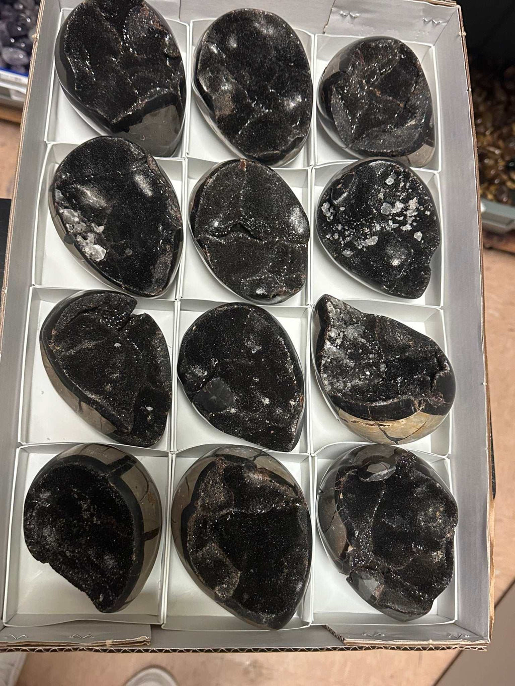 Huevo de dragón Septaria - Aprox. 4.5"