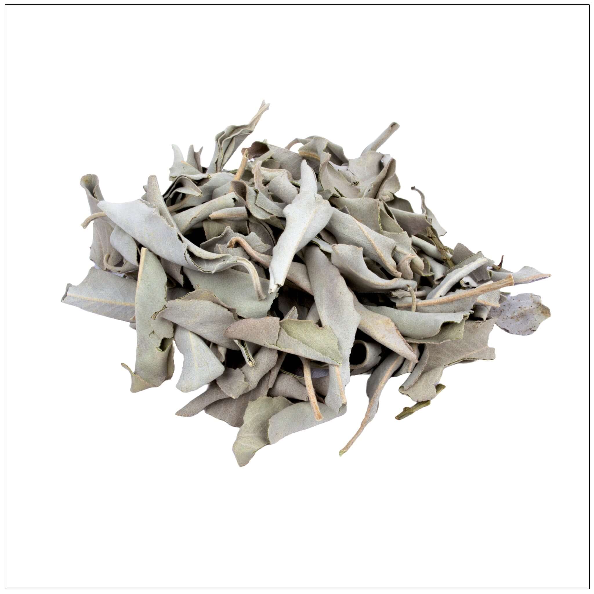 White Sage