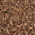 Witch Hazel Bark