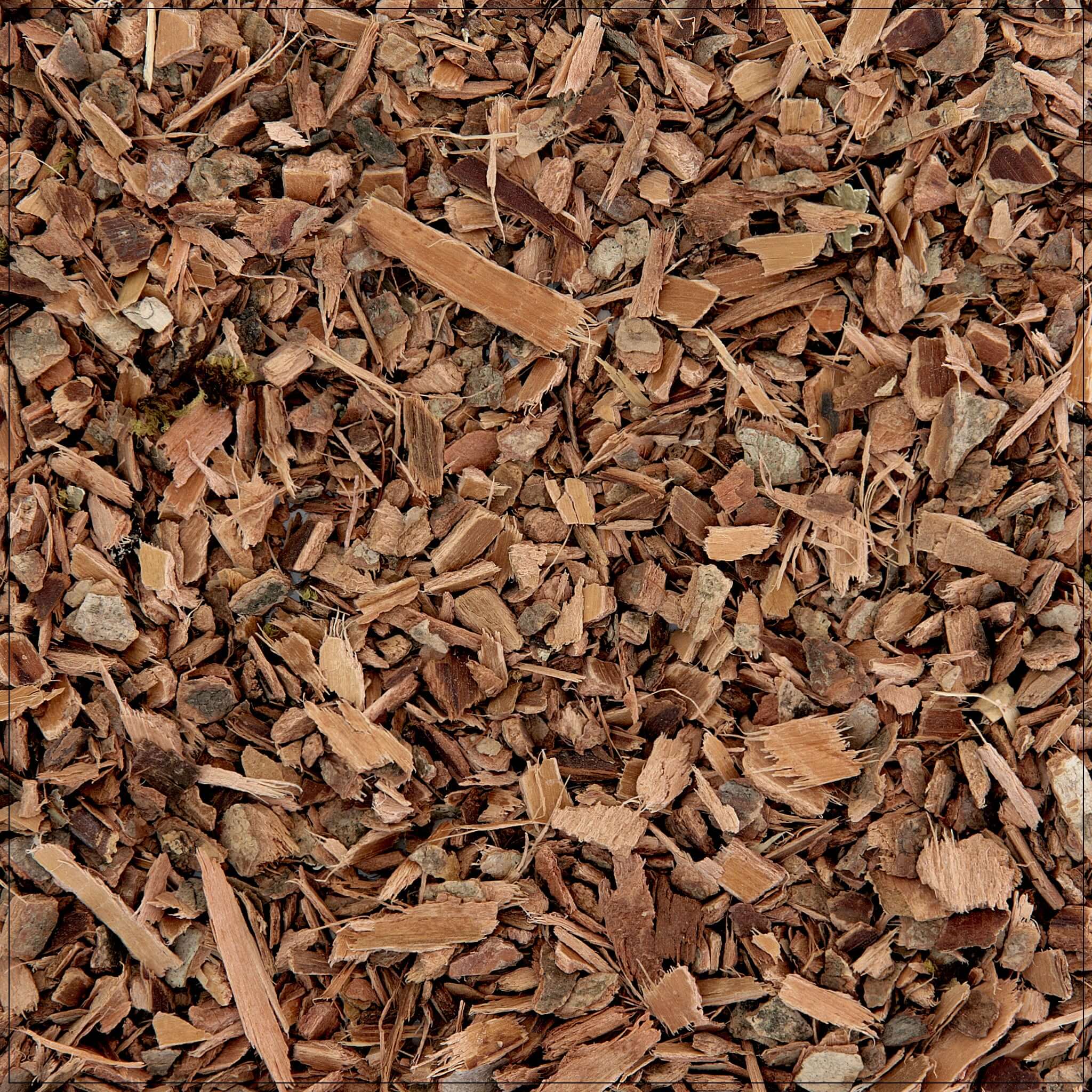 Witch Hazel Bark